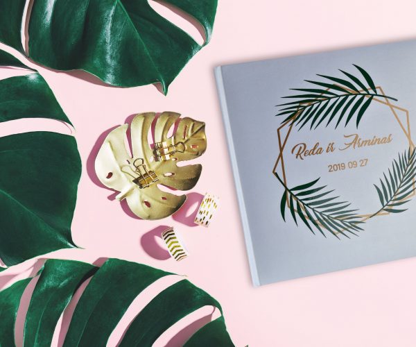 Monstera leaves on pink background. View from above. Girly desk background with monstera. Summer nature fashion concept. Horizontal with copy space.